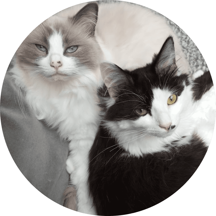 IMG 20240326 155259 (1)