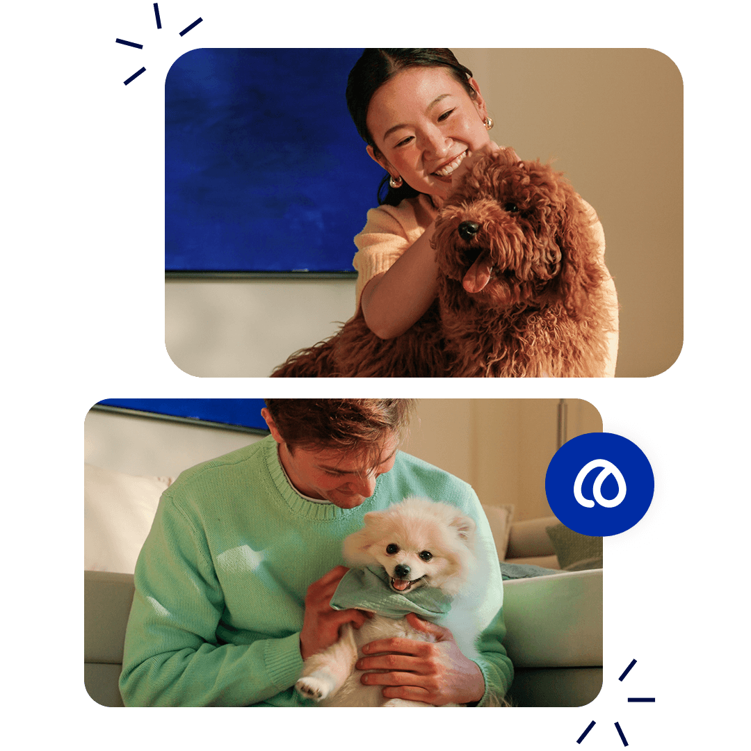 Brand Ambassador Landing Page Participate in the Program 1080x1080 (1)