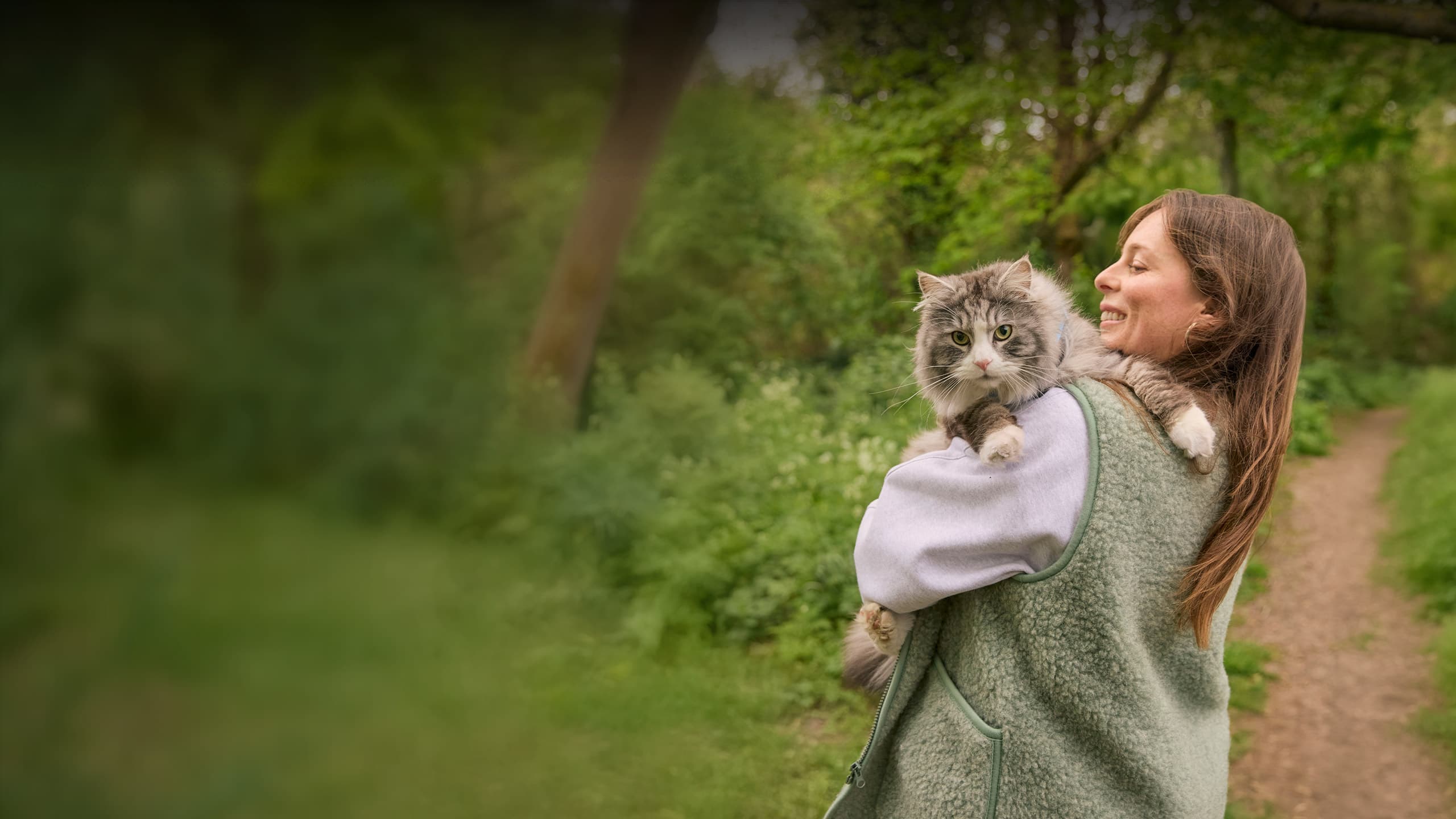NEW Hero image - Cat desktop 4