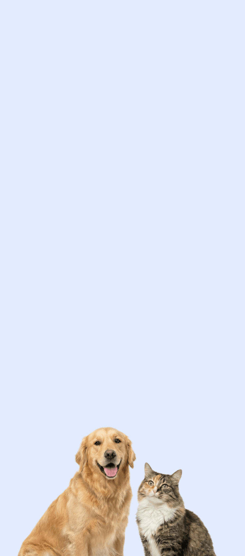 Shelter Donation Evergreen Landing Page Header Mobile 793x1800