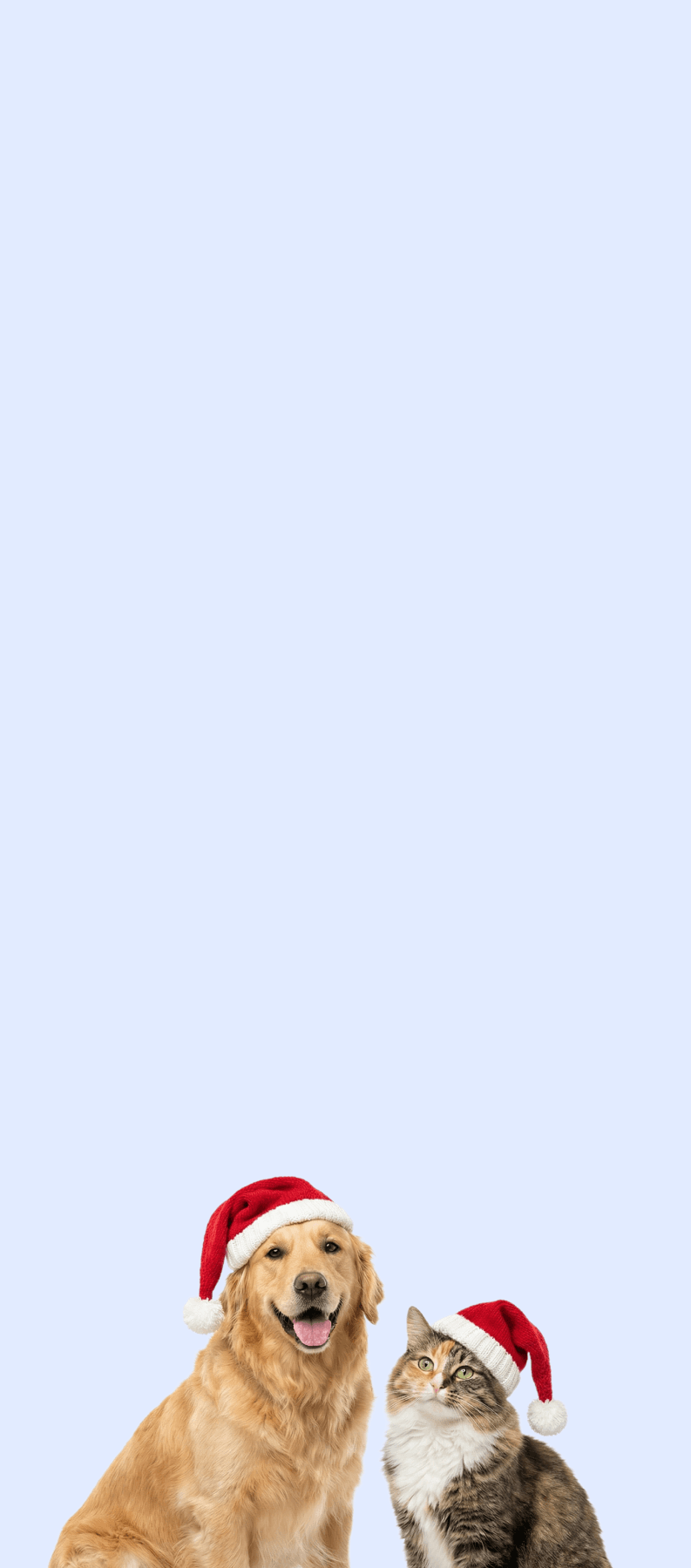 Kampagne Tierheim Berlin 2025 (Hero)