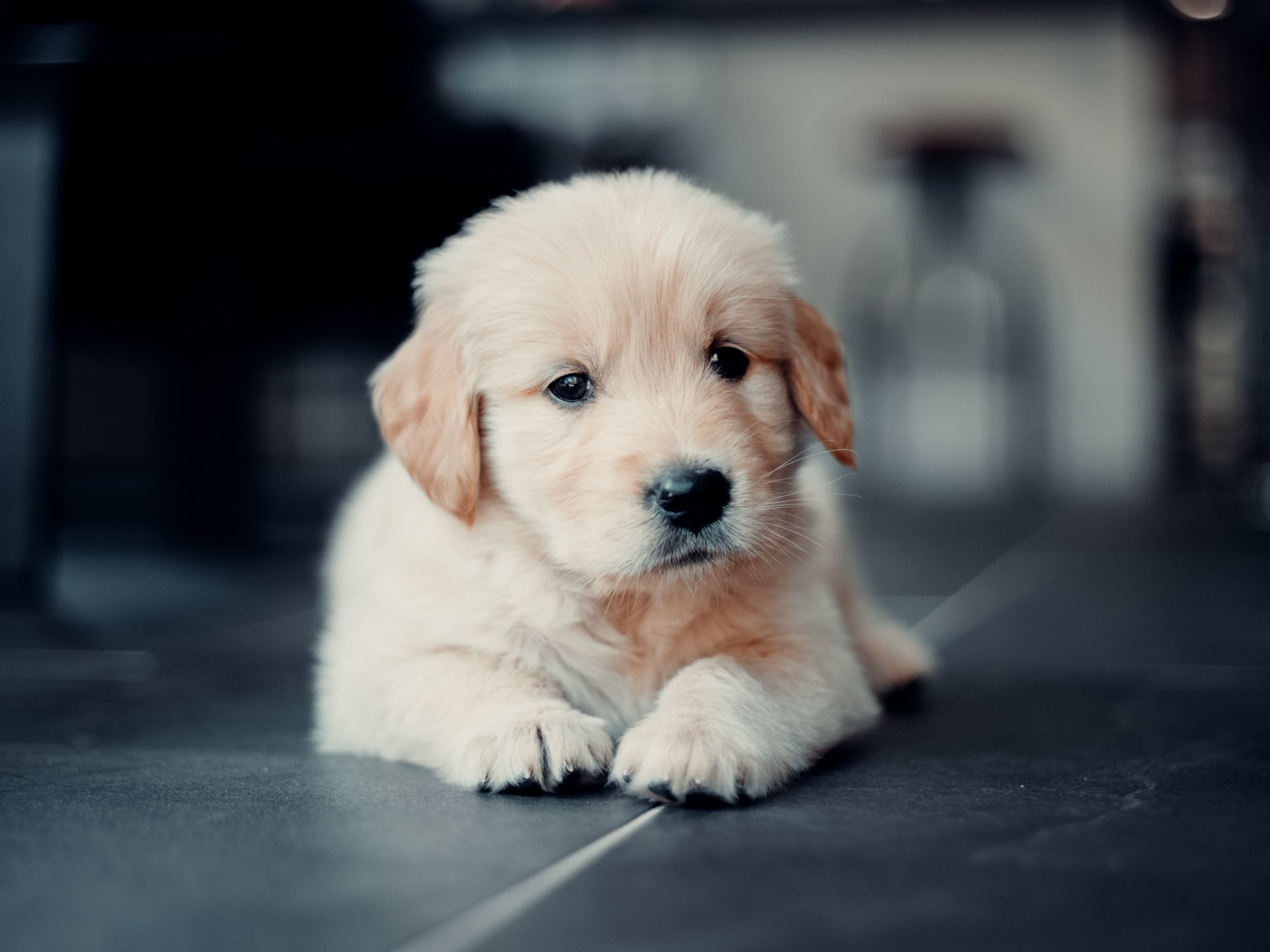 https://unsplash.com/photos/aPvB8KMIh5w