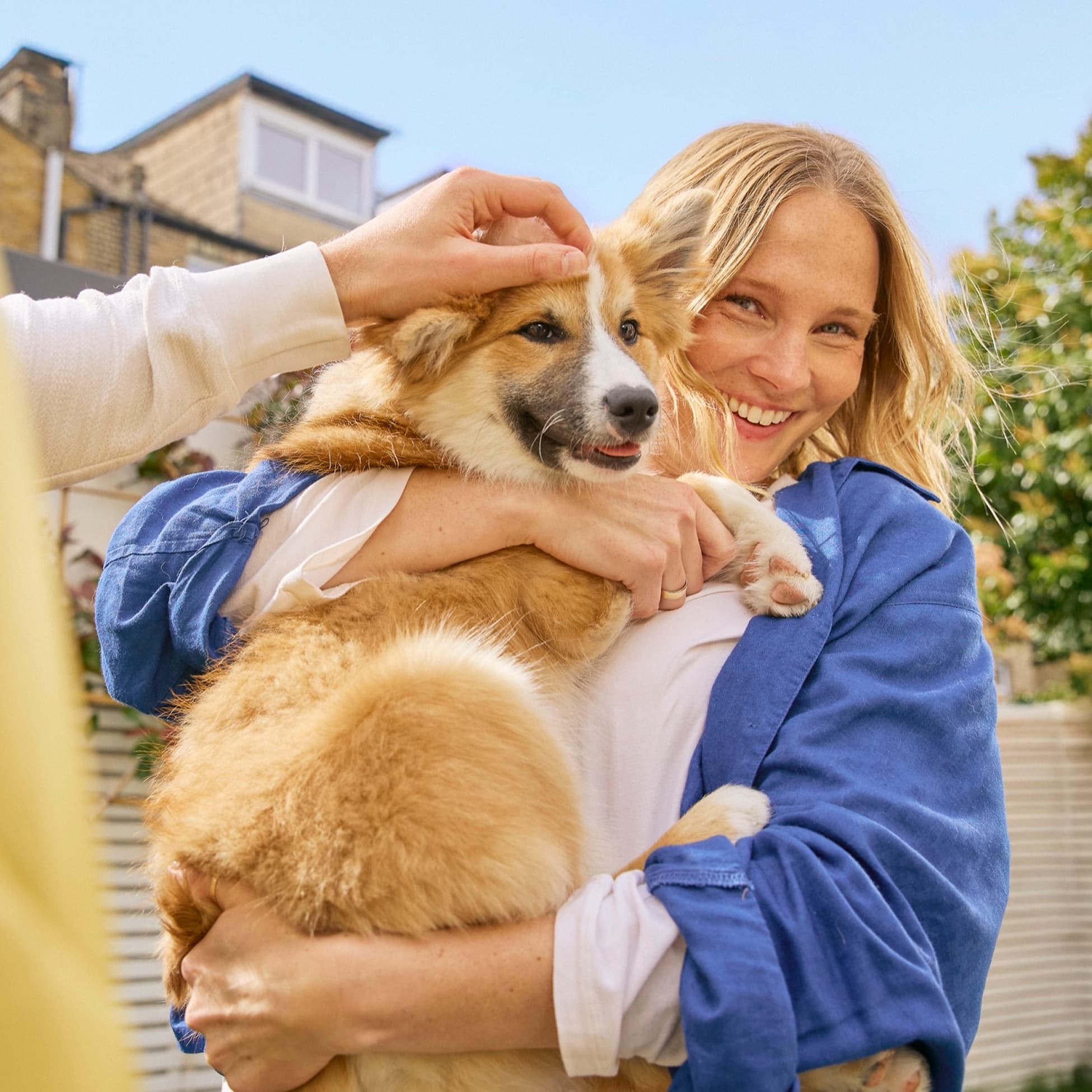 Lassie NEW IMAGES - S07 1216