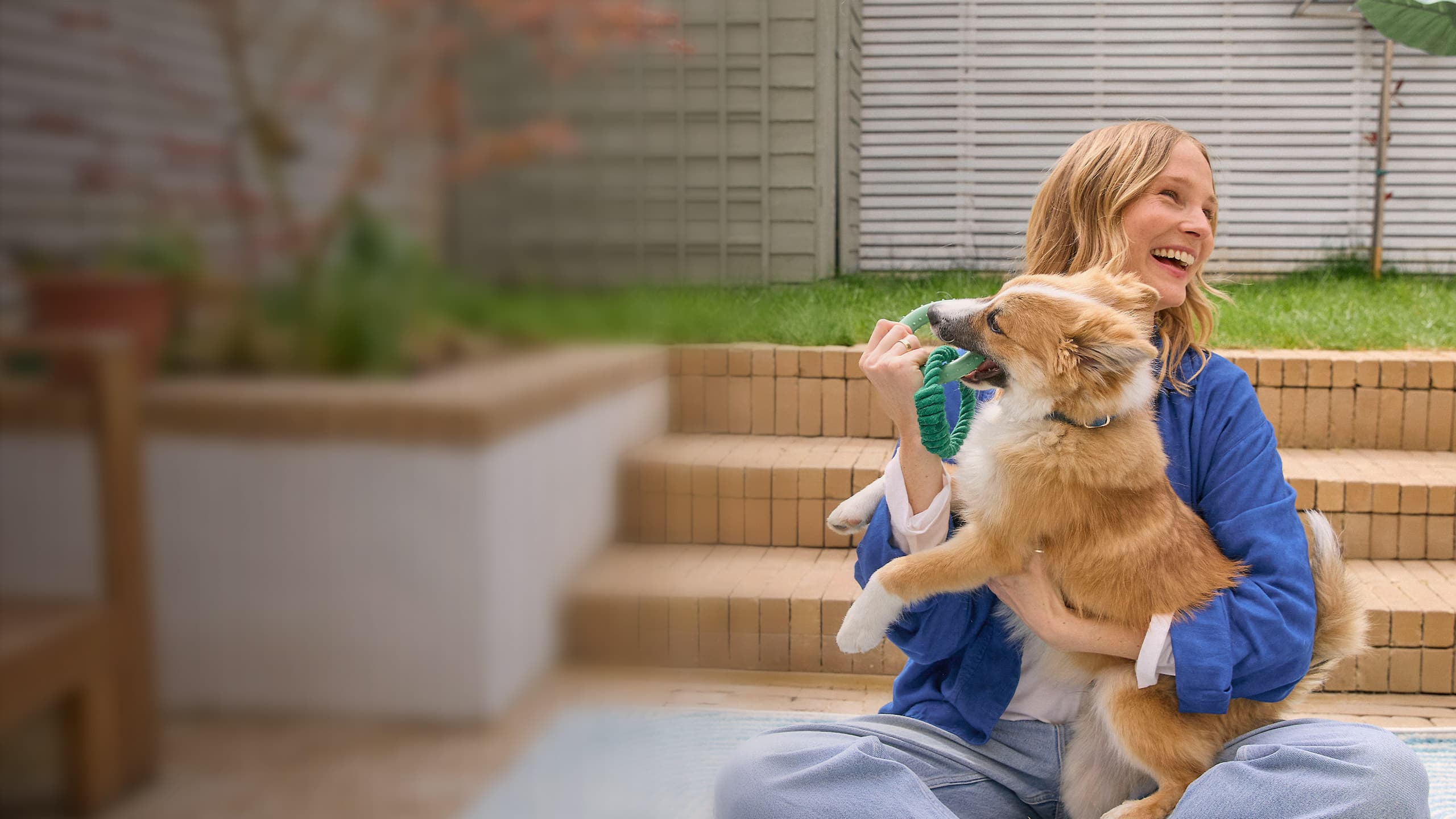 NEW Hero Puppy