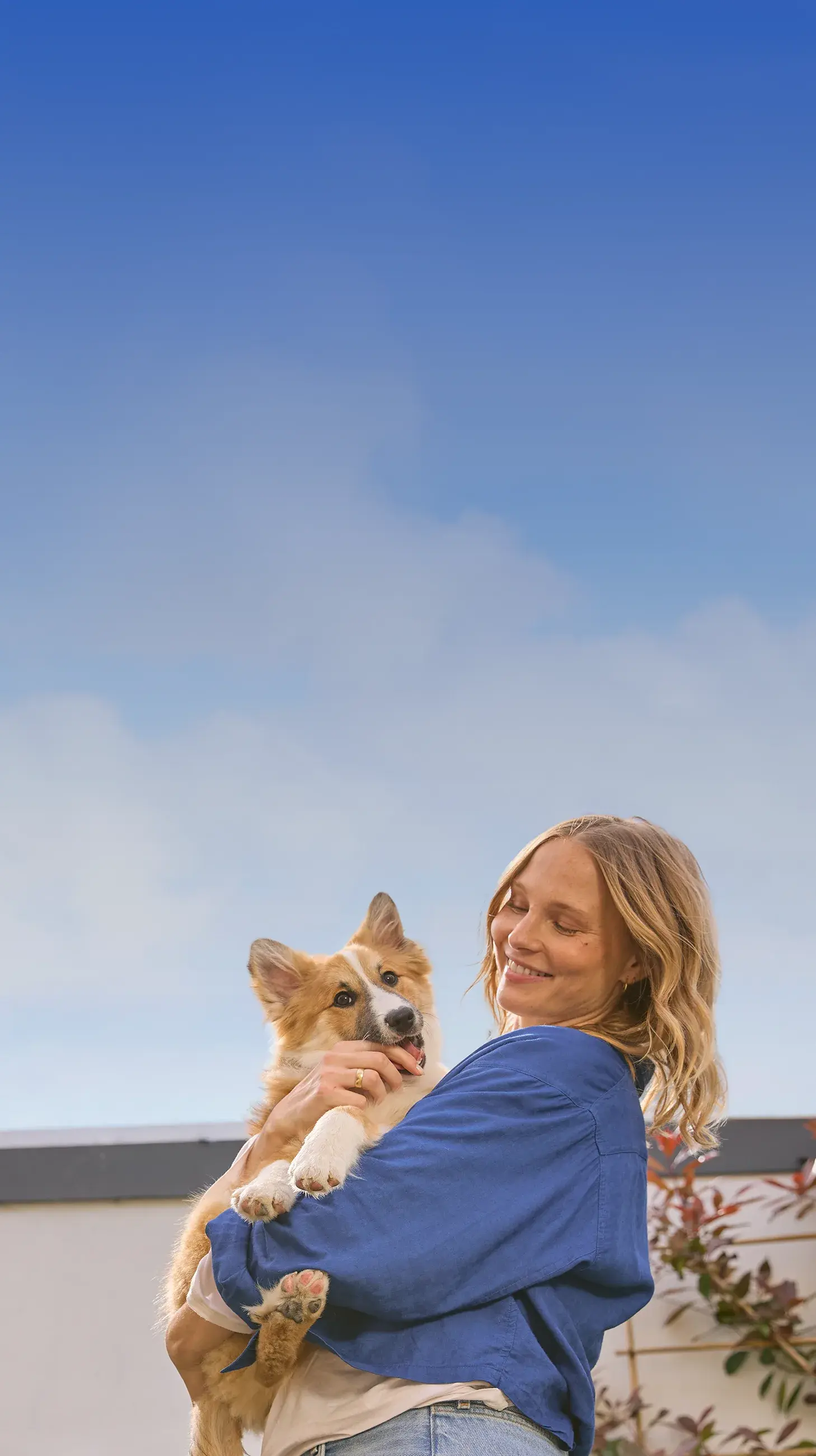 lassie-plus-mobile-fr