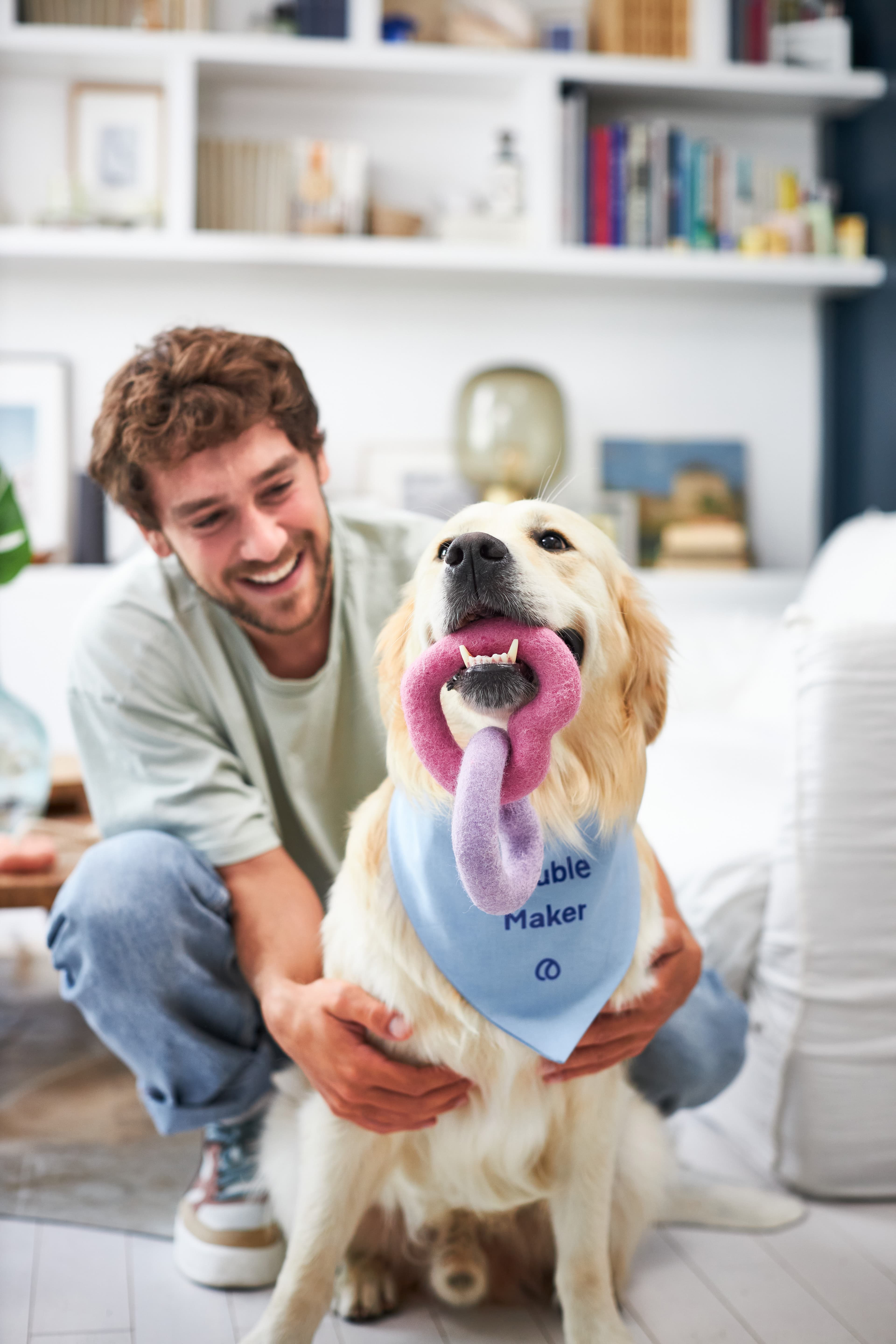 GoldenRetrieverEars