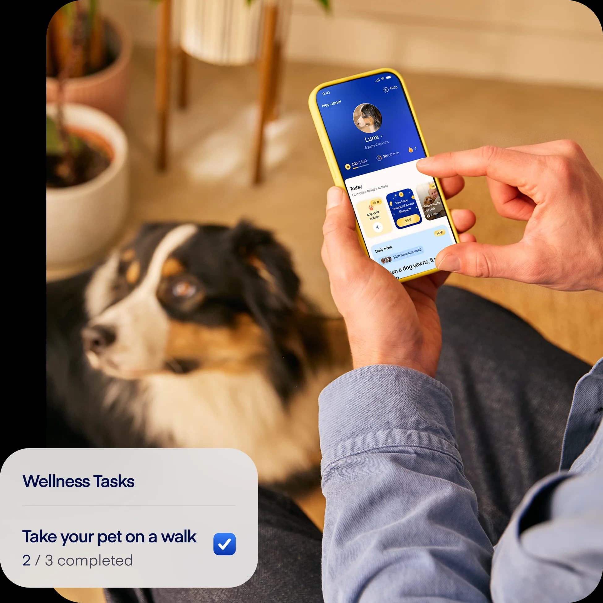 NEW-photo-tasks-overlay-dog2