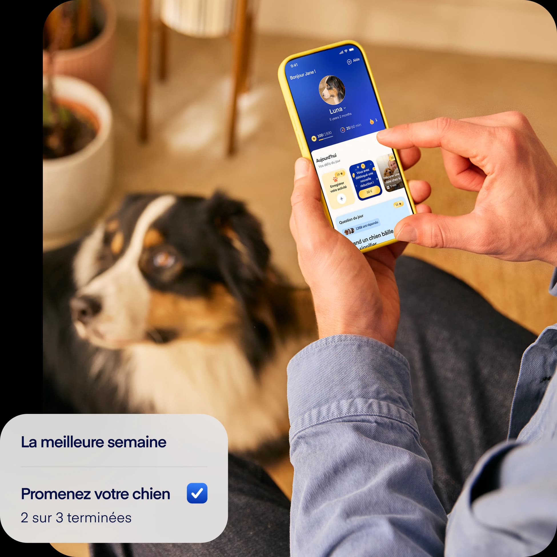 FR-NEW-photo-tasksoverlay-dog2
