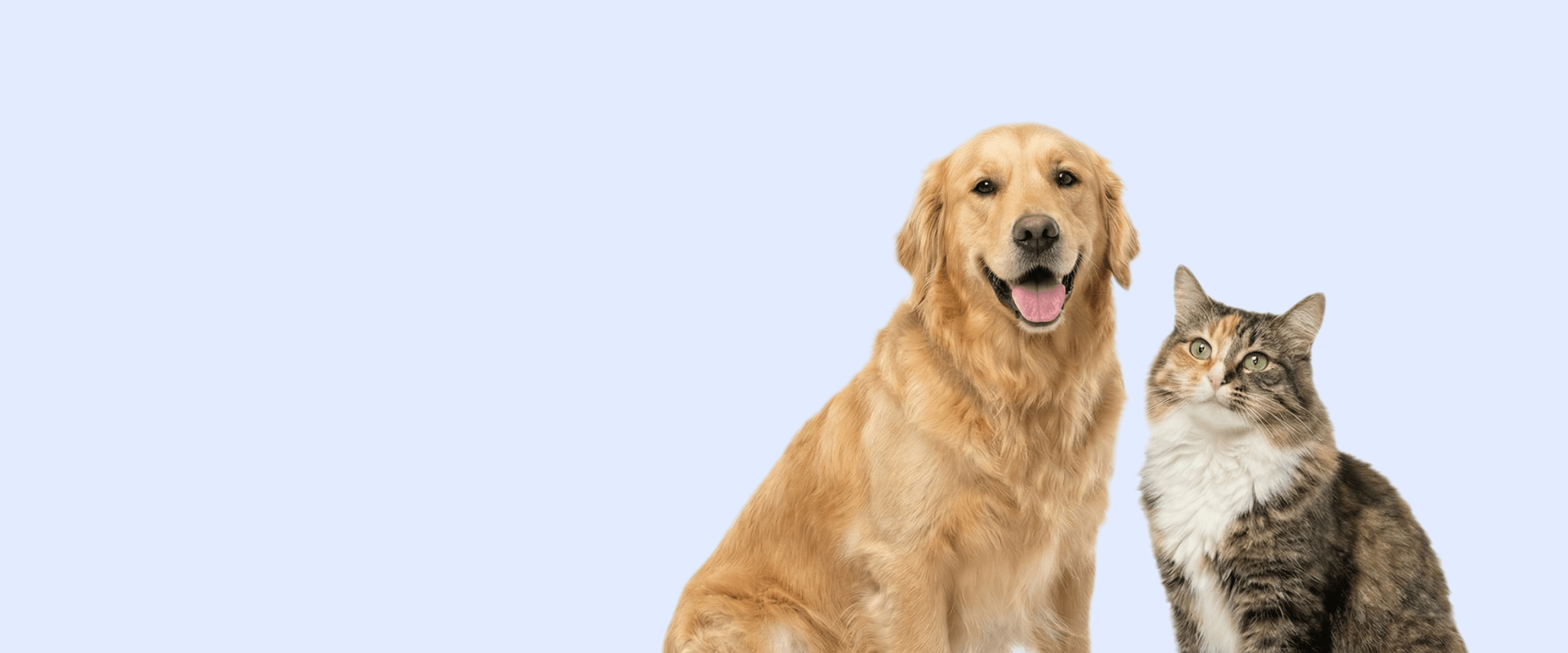 Shelter Donation Evergreen Landing Page Header Desktop 3360×1400